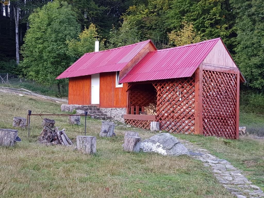 Дома для отпуска Ferienhaus Magura Bison Plopu