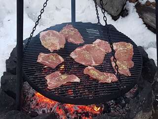 Дома для отпуска Ferienhaus Magura Bison Plopu Дом для отпуска-102