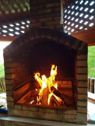 Дома для отпуска Ferienhaus Magura Bison Plopu Дом для отпуска-103