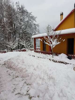 Дома для отпуска Ferienhaus Magura Bison Plopu Дом для отпуска-23