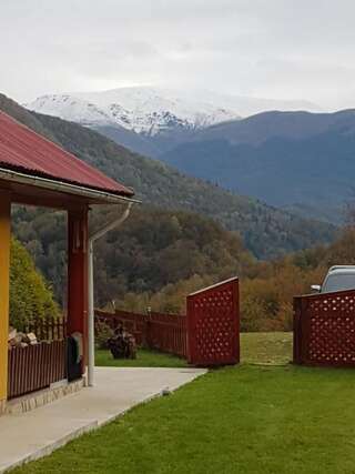 Дома для отпуска Ferienhaus Magura Bison Plopu Дом для отпуска-55