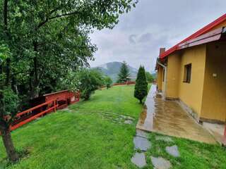 Дома для отпуска Ferienhaus Magura Bison Plopu Дом для отпуска-57