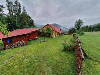 Дома для отпуска Ferienhaus Magura Bison Plopu Дом для отпуска-59