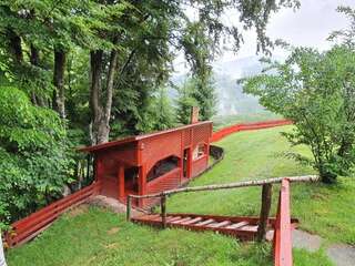 Дома для отпуска Ferienhaus Magura Bison Plopu Дом для отпуска-60