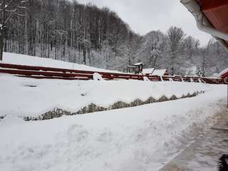 Дома для отпуска Ferienhaus Magura Bison Plopu Дом для отпуска-69
