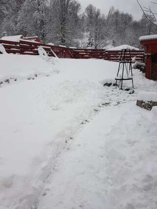 Дома для отпуска Ferienhaus Magura Bison Plopu Дом для отпуска-73