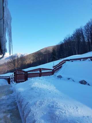 Дома для отпуска Ferienhaus Magura Bison Plopu Дом для отпуска-77