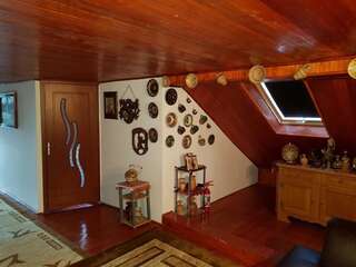 Дома для отпуска Ferienhaus Magura Bison Plopu Дом для отпуска-87