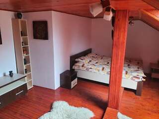 Дома для отпуска Ferienhaus Magura Bison Plopu Дом для отпуска-90