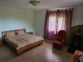 Дома для отпуска Ferienhaus Magura Bison Plopu Дом для отпуска-93