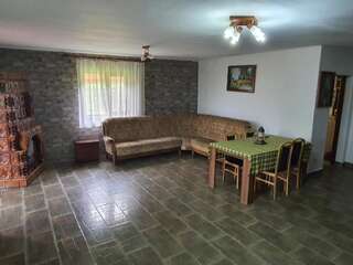 Дома для отпуска Ferienhaus Magura Bison Plopu Дом для отпуска-95