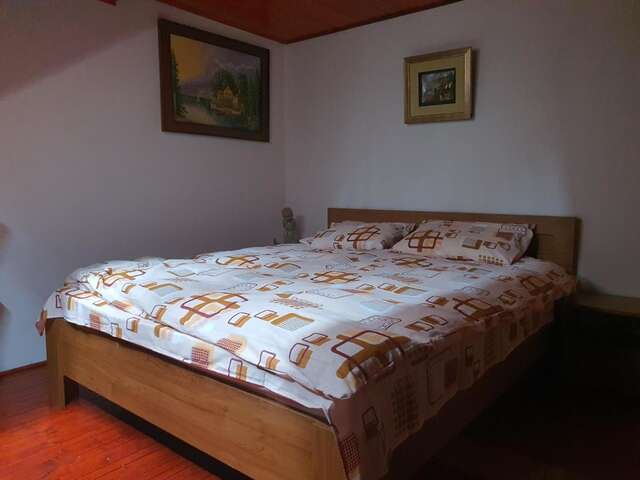 Дома для отпуска Ferienhaus Magura Bison Plopu-45