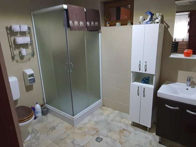 Дома для отпуска Ferienhaus Magura Bison Plopu-47