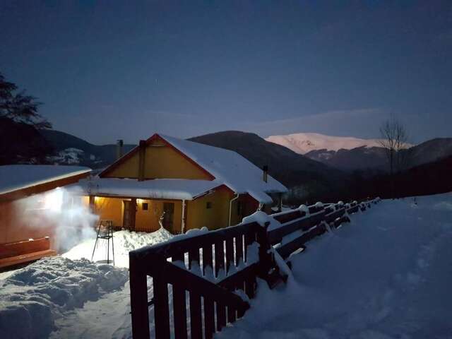 Дома для отпуска Ferienhaus Magura Bison Plopu-67