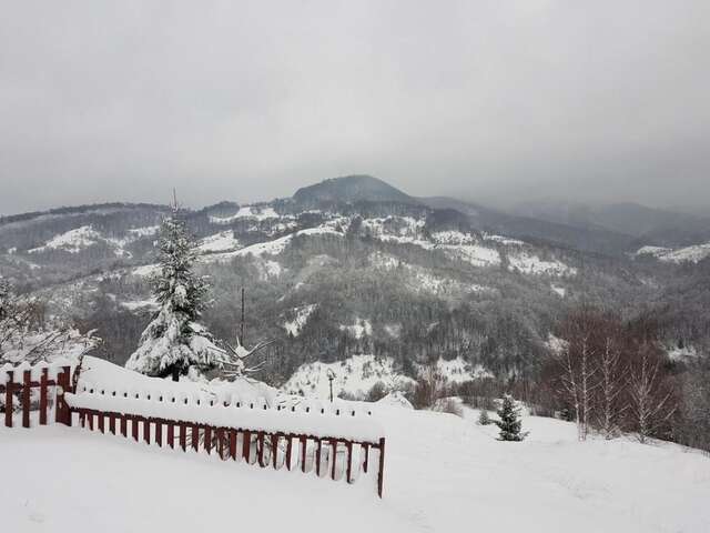 Дома для отпуска Ferienhaus Magura Bison Plopu-83