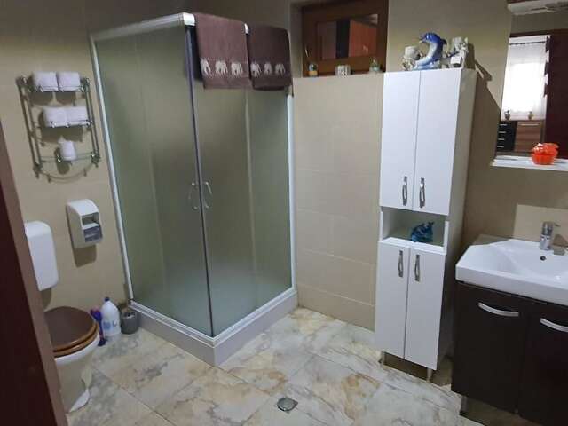 Дома для отпуска Ferienhaus Magura Bison Plopu-99